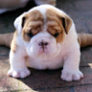 Meet your Posher, Student margaret rose